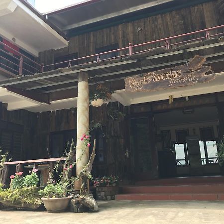 Pinocchio Tavan Homestay Sapa Exterior foto